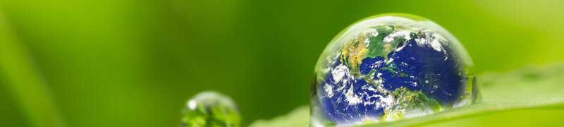 Curso gratuito Técnico en Educación Ambiental + Formador de Formadores (Doble Titulación + 4 Créditos ECTS) cursos gratuitos